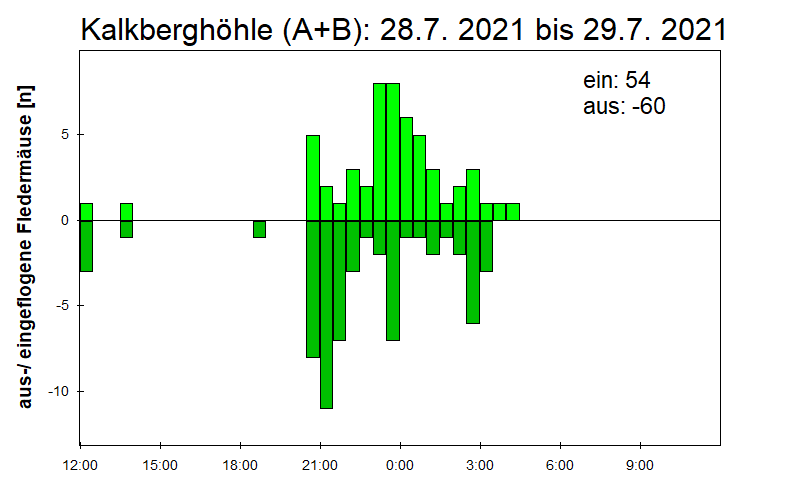 [Fledermaus] Lichtschranke: Segeberger Kalkberg (NABU Schleswig-Holstein)
