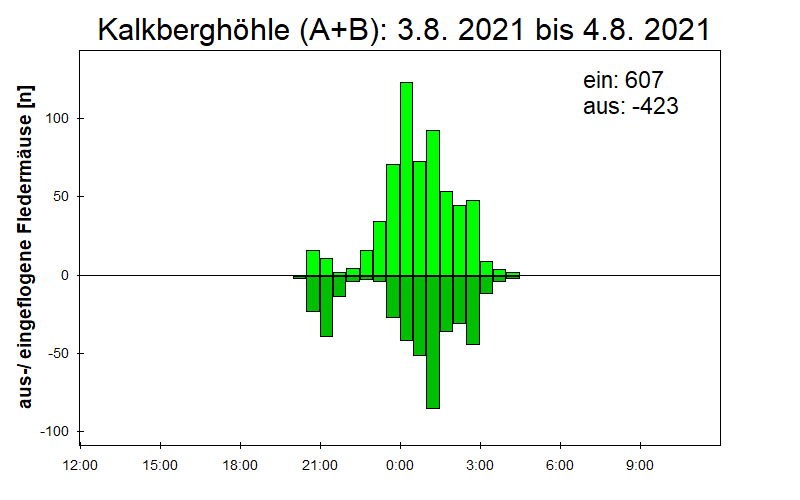 [Fledermaus] Lichtschranke: Segeberger Kalkberg (NABU Schleswig-Holstein)