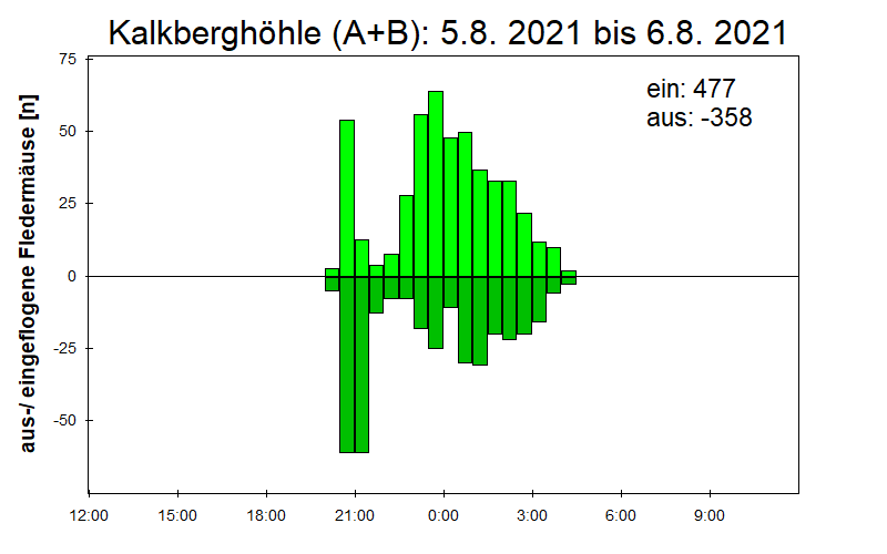 [Fledermaus] Lichtschranke: Segeberger Kalkberg (NABU Schleswig-Holstein)