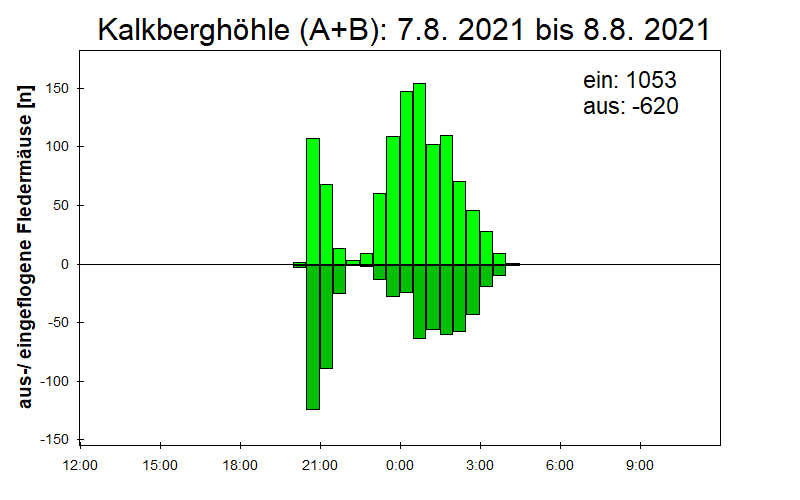 [Fledermaus] Lichtschranke: Segeberger Kalkberg (NABU Schleswig-Holstein)