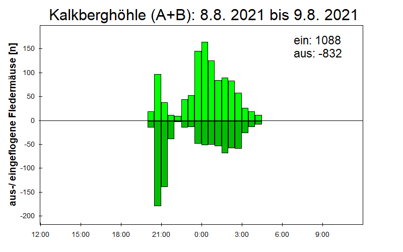 [Fledermaus] Lichtschranke: Segeberger Kalkberg (NABU Schleswig-Holstein)