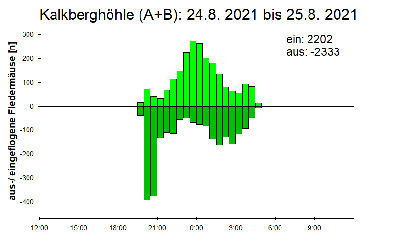 [Fledermaus] Lichtschranke: Segeberger Kalkberg (NABU Schleswig-Holstein)
