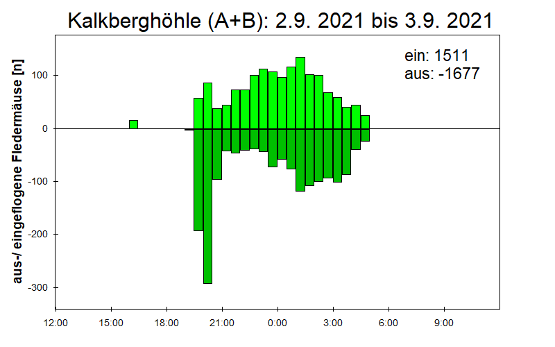 [Fledermaus] Lichtschranke: Segeberger Kalkberg (NABU Schleswig-Holstein)