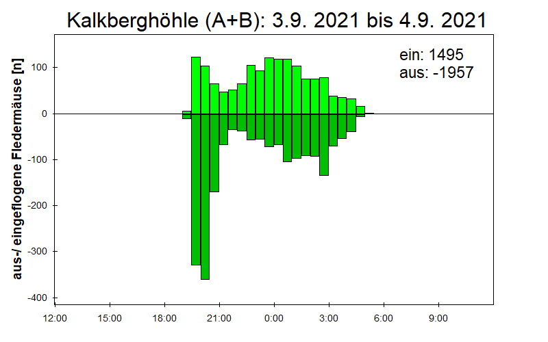 [Fledermaus] Lichtschranke: Segeberger Kalkberg (NABU Schleswig-Holstein)