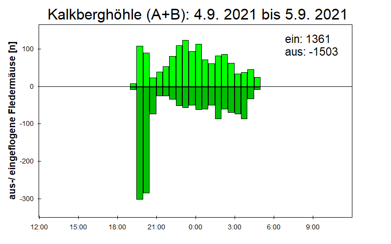 [Fledermaus] Lichtschranke: Segeberger Kalkberg (NABU Schleswig-Holstein)