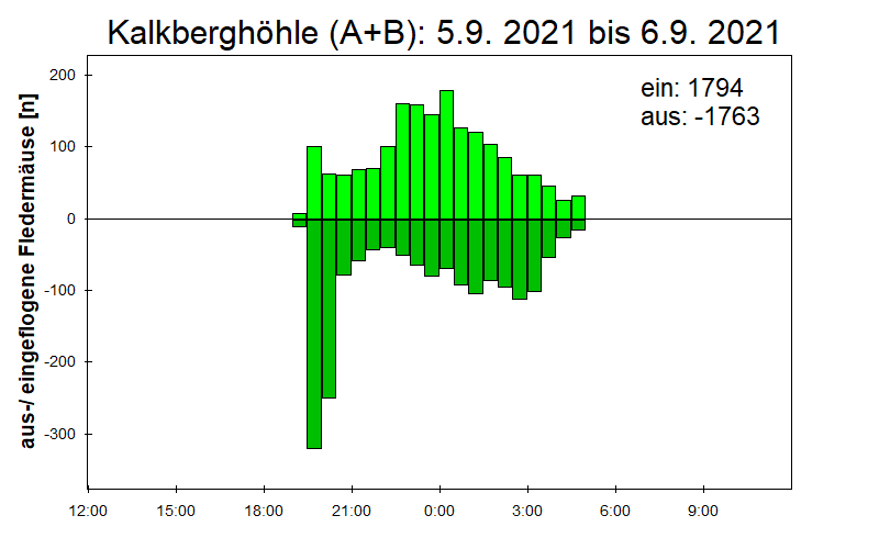 [Fledermaus] Lichtschranke: Segeberger Kalkberg (NABU Schleswig-Holstein)
