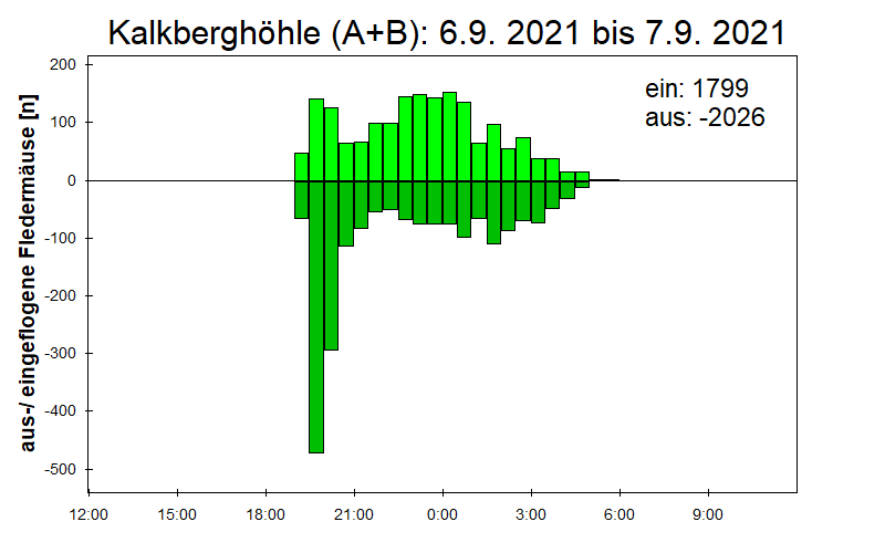 [Fledermaus] Lichtschranke: Segeberger Kalkberg (NABU Schleswig-Holstein)