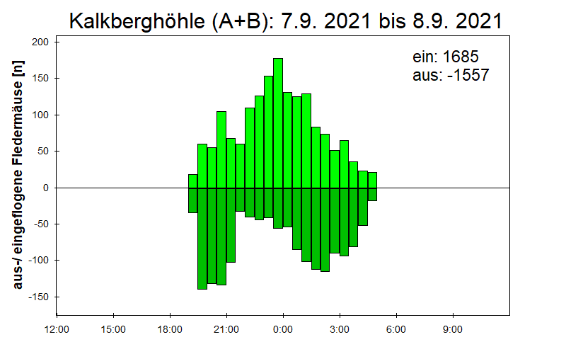 [Fledermaus] Lichtschranke: Segeberger Kalkberg (NABU Schleswig-Holstein)