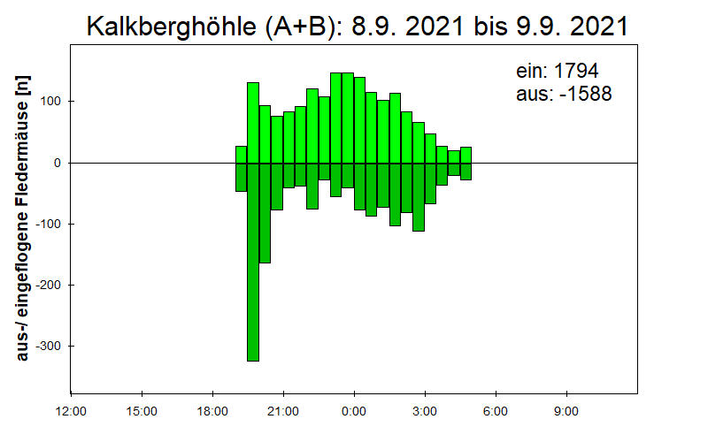 [Fledermaus] Lichtschranke: Segeberger Kalkberg (NABU Schleswig-Holstein)