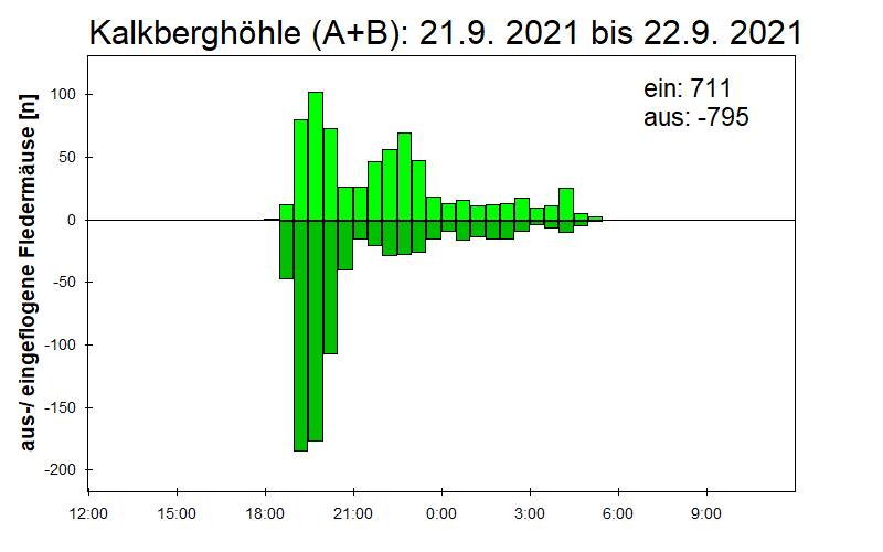 [Fledermaus] Lichtschranke: Segeberger Kalkberg (NABU Schleswig-Holstein)