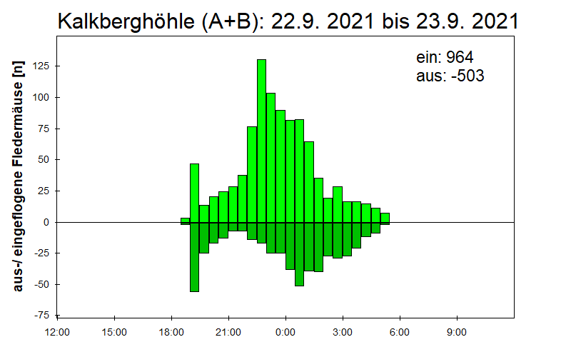 [Fledermaus] Lichtschranke: Segeberger Kalkberg (NABU Schleswig-Holstein)
