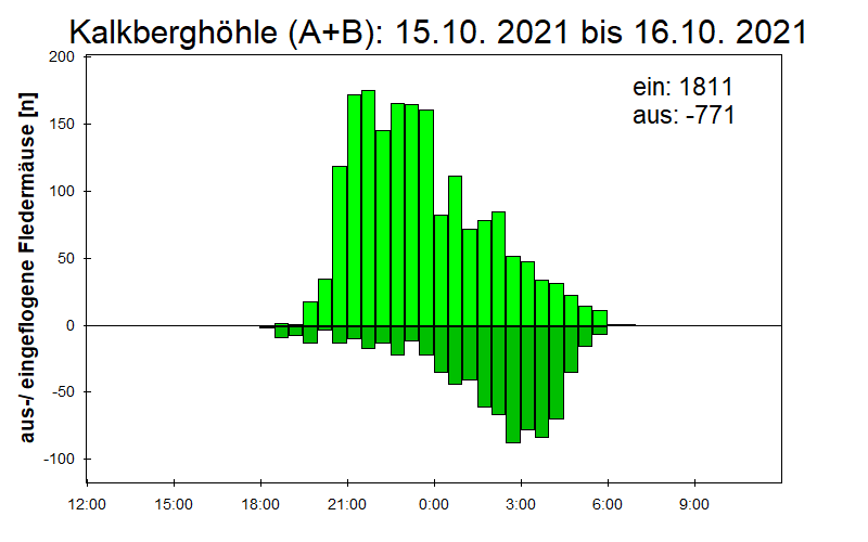 [Fledermaus] Lichtschranke: Segeberger Kalkberg (NABU Schleswig-Holstein)