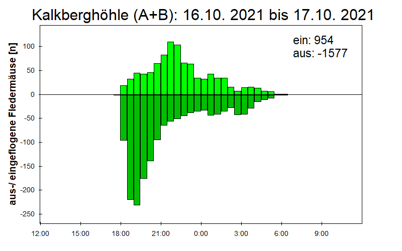 [Fledermaus] Lichtschranke: Segeberger Kalkberg (NABU Schleswig-Holstein)