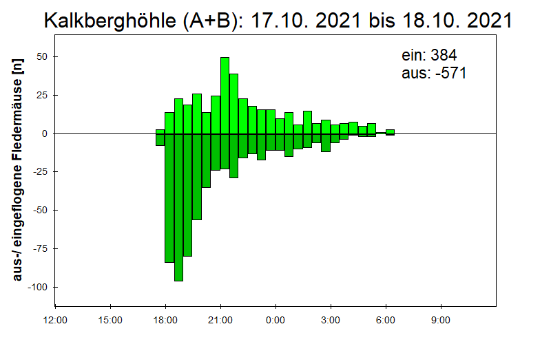 [Fledermaus] Lichtschranke: Segeberger Kalkberg (NABU Schleswig-Holstein)