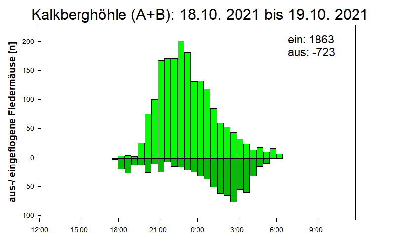 [Fledermaus] Lichtschranke: Segeberger Kalkberg (NABU Schleswig-Holstein)