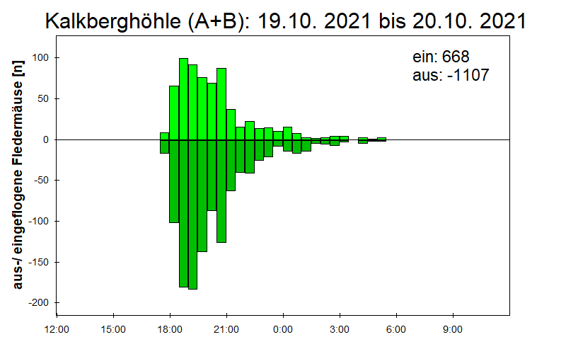 [Fledermaus] Lichtschranke: Segeberger Kalkberg (NABU Schleswig-Holstein)