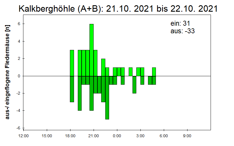 [Fledermaus] Lichtschranke: Segeberger Kalkberg (NABU Schleswig-Holstein)
