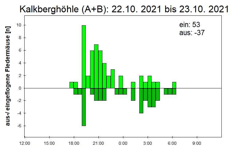 [Fledermaus] Lichtschranke: Segeberger Kalkberg (NABU Schleswig-Holstein)