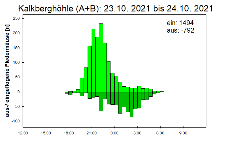 [Fledermaus] Lichtschranke: Segeberger Kalkberg (NABU Schleswig-Holstein)