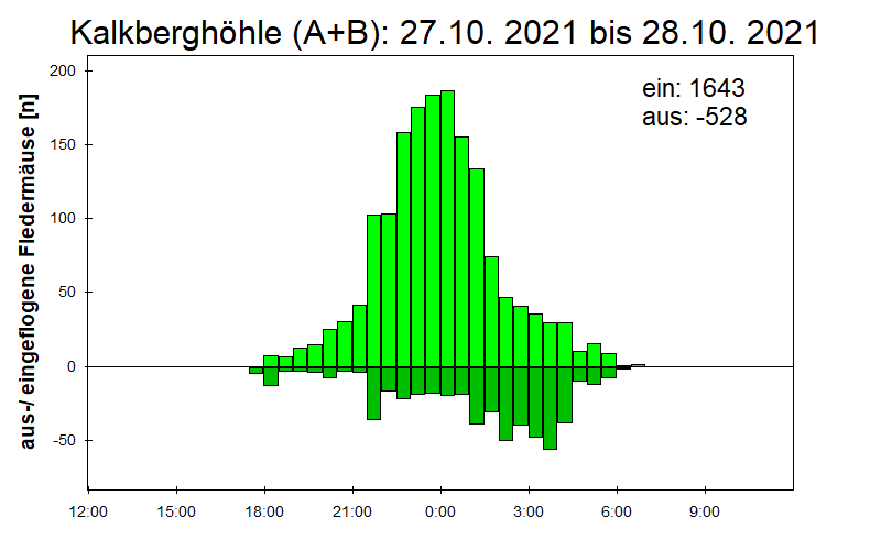 [Fledermaus] Lichtschranke: Segeberger Kalkberg (NABU Schleswig-Holstein)