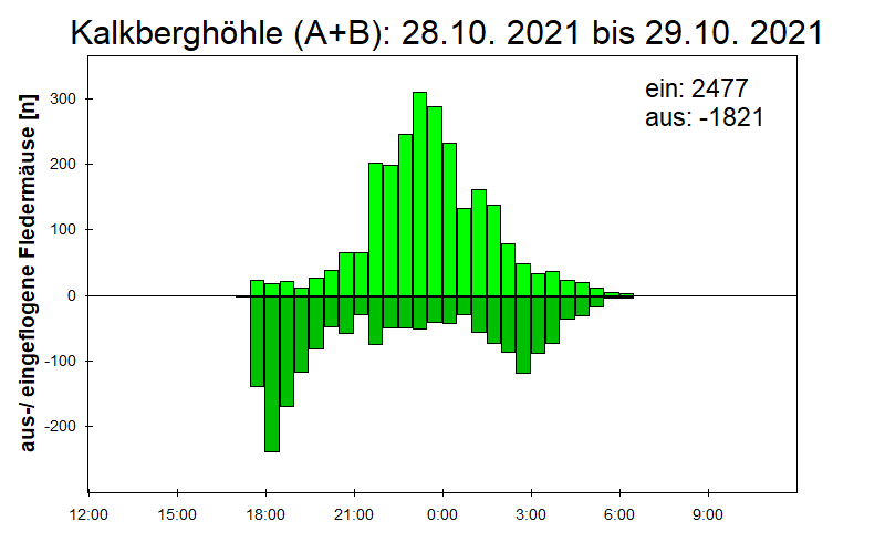 [Fledermaus] Lichtschranke: Segeberger Kalkberg (NABU Schleswig-Holstein)
