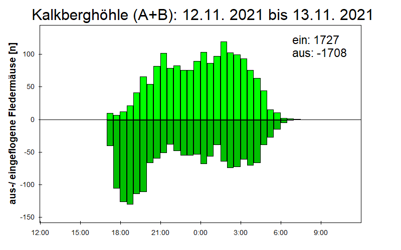 [Fledermaus] Lichtschranke: Segeberger Kalkberg (NABU Schleswig-Holstein)