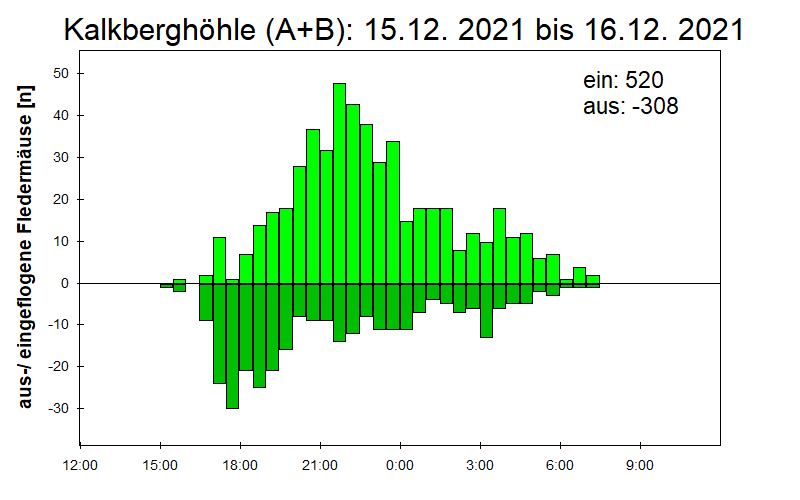 [Fledermaus] Lichtschranke: Segeberger Kalkberg (NABU Schleswig-Holstein)