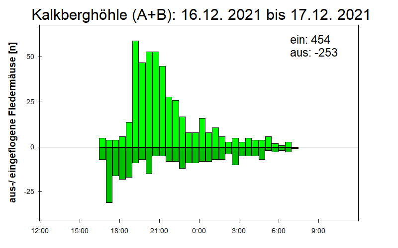 [Fledermaus] Lichtschranke: Segeberger Kalkberg (NABU Schleswig-Holstein)