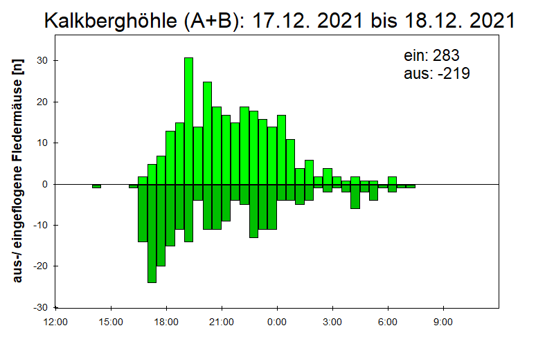[Fledermaus] Lichtschranke: Segeberger Kalkberg (NABU Schleswig-Holstein)