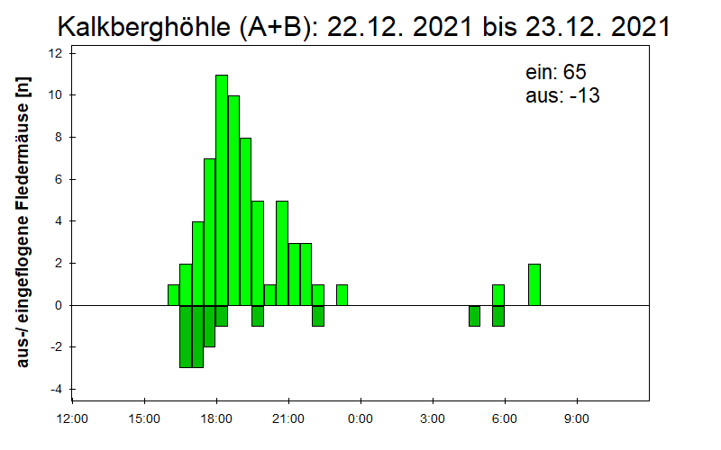 [Fledermaus] Lichtschranke: Segeberger Kalkberg (NABU Schleswig-Holstein)