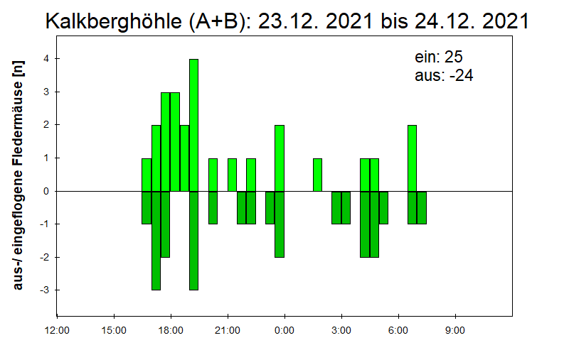 [Fledermaus] Lichtschranke: Segeberger Kalkberg (NABU Schleswig-Holstein)