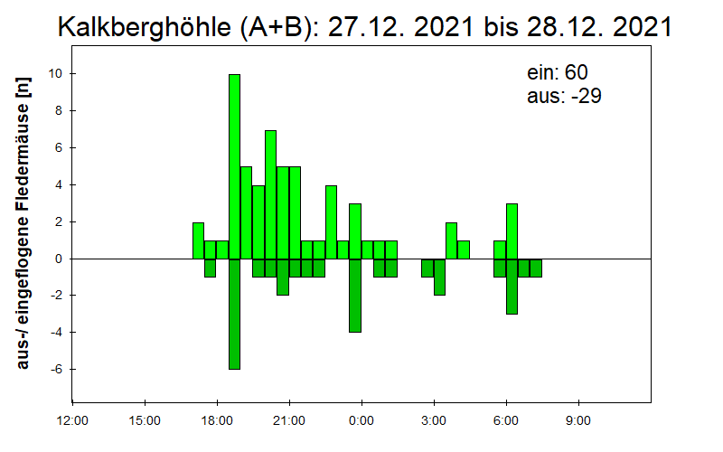 [Fledermaus] Lichtschranke: Segeberger Kalkberg (NABU Schleswig-Holstein)