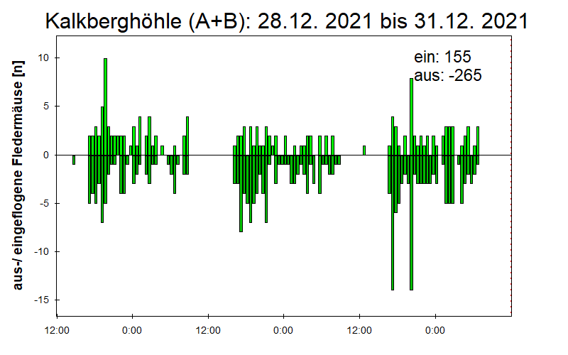 [Fledermaus] Lichtschranke: Segeberger Kalkberg (NABU Schleswig-Holstein)