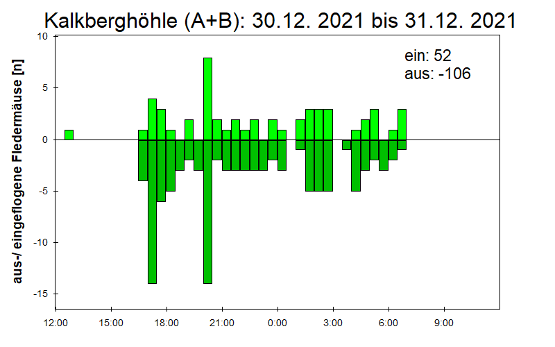 [Fledermaus] Lichtschranke: Segeberger Kalkberg (NABU Schleswig-Holstein)