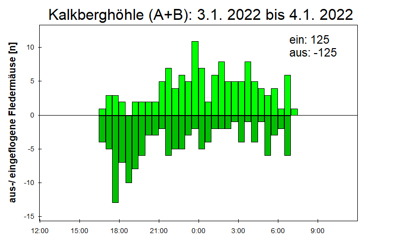 [Fledermaus] Lichtschranke: Segeberger Kalkberg (NABU Schleswig-Holstein)