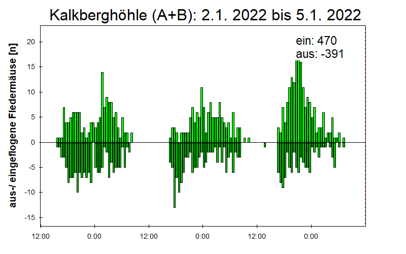 [Fledermaus] Lichtschranke: Segeberger Kalkberg (NABU Schleswig-Holstein)