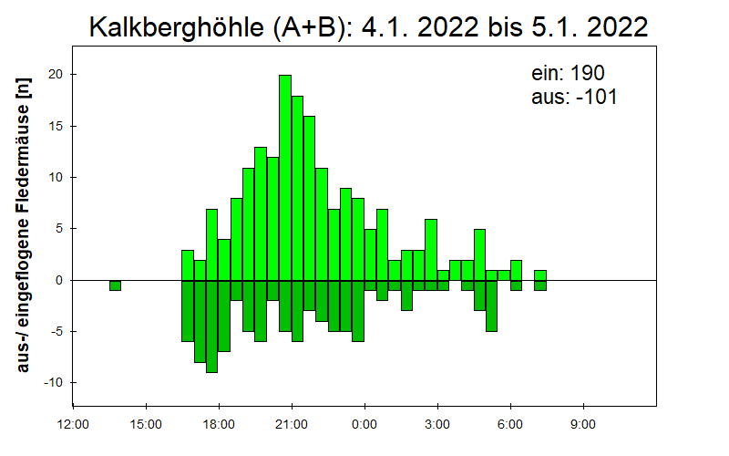 [Fledermaus] Lichtschranke: Segeberger Kalkberg (NABU Schleswig-Holstein)