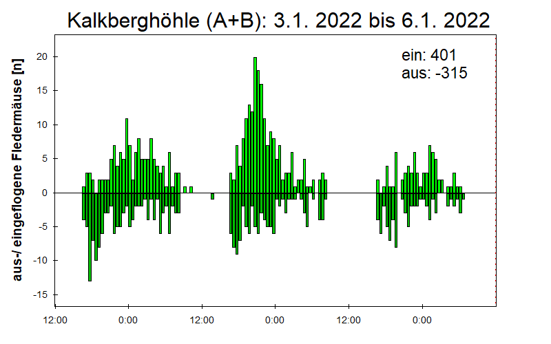 [Fledermaus] Lichtschranke: Segeberger Kalkberg (NABU Schleswig-Holstein)