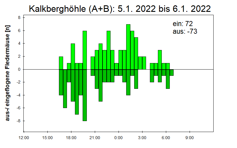 [Fledermaus] Lichtschranke: Segeberger Kalkberg (NABU Schleswig-Holstein)