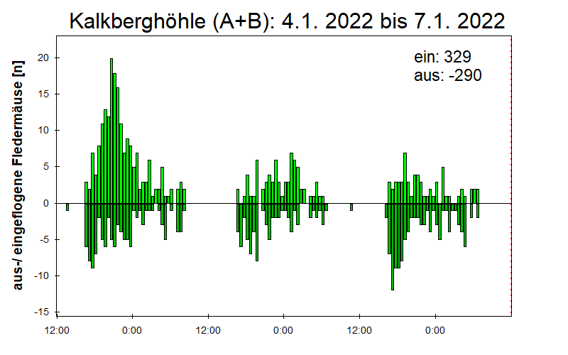 [Fledermaus] Lichtschranke: Segeberger Kalkberg (NABU Schleswig-Holstein)