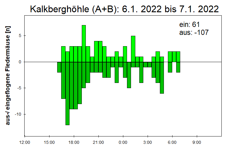 [Fledermaus] Lichtschranke: Segeberger Kalkberg (NABU Schleswig-Holstein)