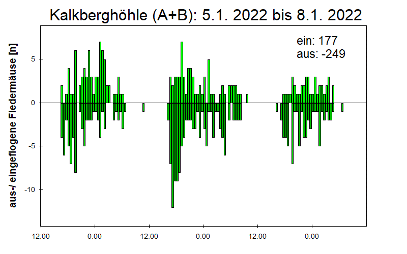 [Fledermaus] Lichtschranke: Segeberger Kalkberg (NABU Schleswig-Holstein)
