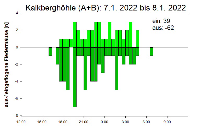 [Fledermaus] Lichtschranke: Segeberger Kalkberg (NABU Schleswig-Holstein)