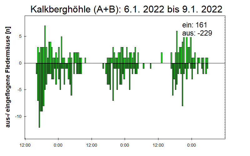 [Fledermaus] Lichtschranke: Segeberger Kalkberg (NABU Schleswig-Holstein)