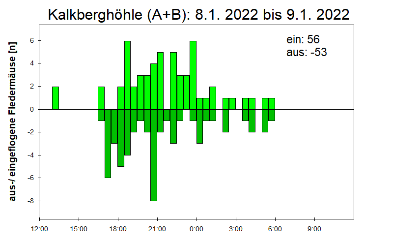 [Fledermaus] Lichtschranke: Segeberger Kalkberg (NABU Schleswig-Holstein)
