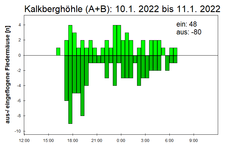 [Fledermaus] Lichtschranke: Segeberger Kalkberg (NABU Schleswig-Holstein)
