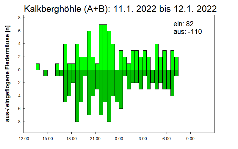 [Fledermaus] Lichtschranke: Segeberger Kalkberg (NABU Schleswig-Holstein)