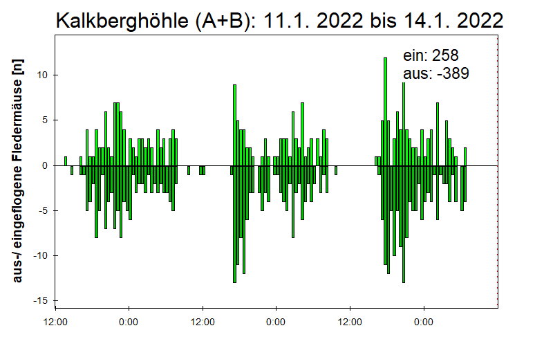 [Fledermaus] Lichtschranke: Segeberger Kalkberg (NABU Schleswig-Holstein)