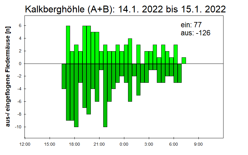 [Fledermaus] Lichtschranke: Segeberger Kalkberg (NABU Schleswig-Holstein)