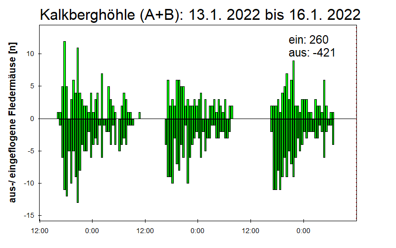 [Fledermaus] Lichtschranke: Segeberger Kalkberg (NABU Schleswig-Holstein)